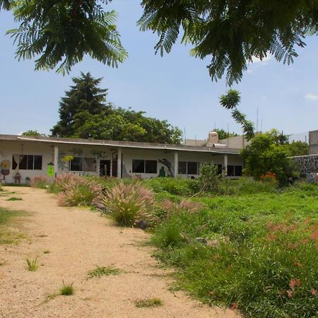 Casa De Huespedes Colmena Hotel Tlayacapan Eksteriør billede